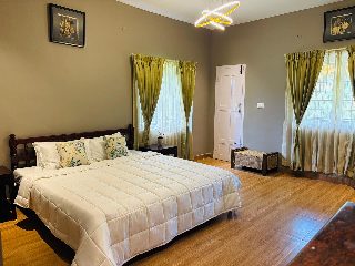 Mellow Nest